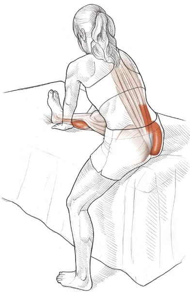Vežba 1 Istezanje fleksora kolena u sedećem položaju za početnike