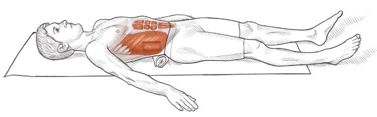 Vežba 1 Istezanje trbušnjaka uz pomoć peškira