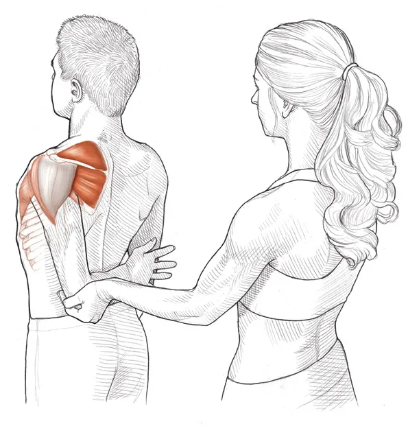 Vežba 10 Istezanje abduktora ramena uz pomoć partnera