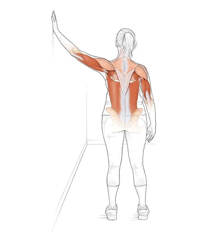 Vežba 11 Istezanje aduktora ramena