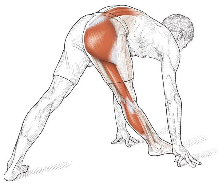Vežba 2 Istezanje fleksora kolena u stojećem položaju