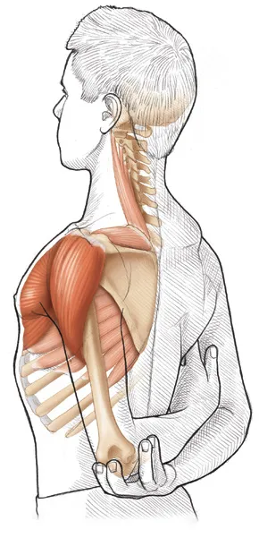 Vežba 2 Istezanje fleksora ramena srednjeg intenziteta