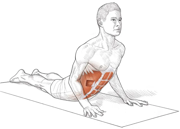 Vežba 2 Istezanje trbušnjaka ležeći na stomaku – Kobra poza