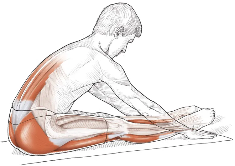 Vežba 3: Napredno istezanje fleksora kolena u sedećem položaju