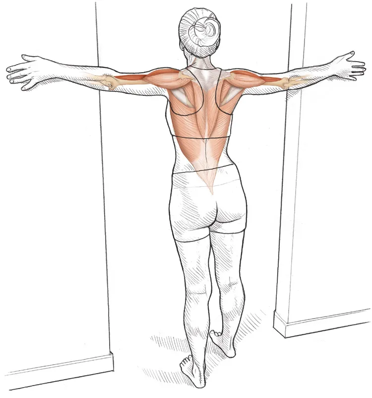 Vežba 3 Napredno istezanje fleksora ramena