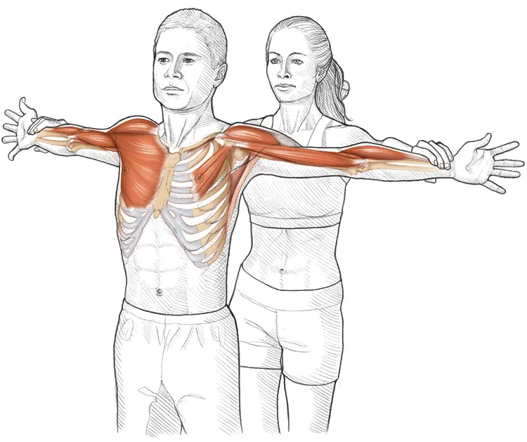 Vežba 4 Istezanje fleksora ramena i laktova uz pomoć partnera