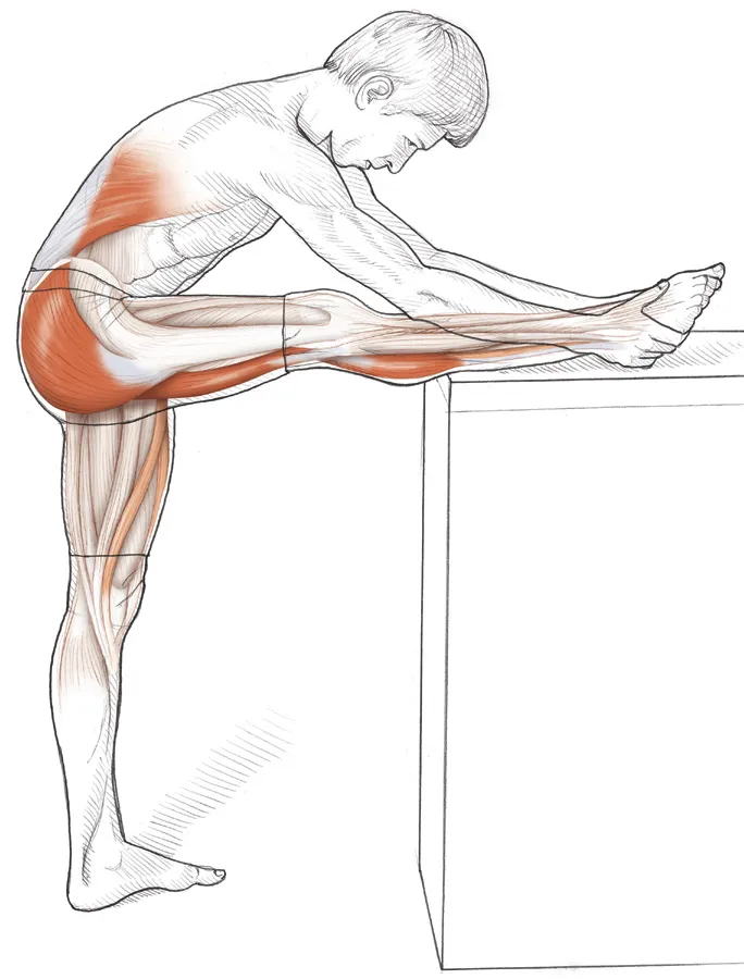Vežba 4: Stojeće istezanje fleksora kolena za profesionalne sportiste noge