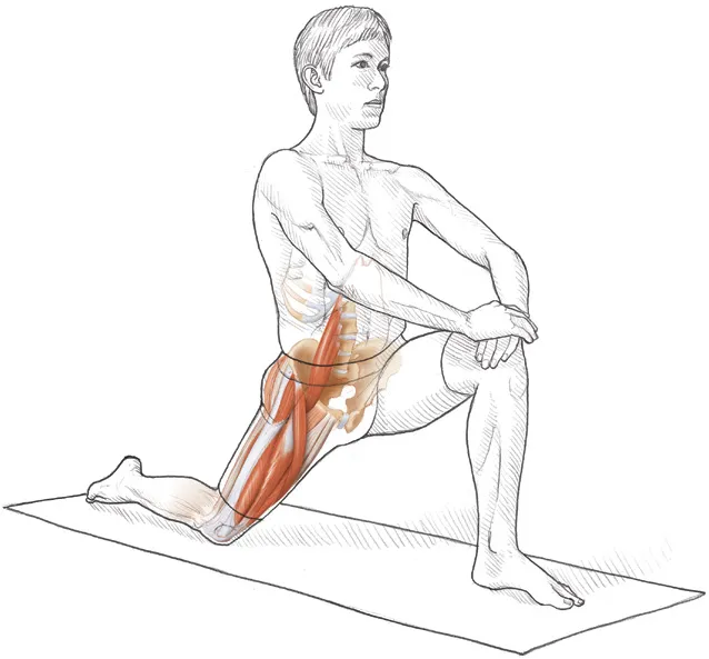 Vežba 8: Napredno istezanje ekstenzora kolena u klečećem položaju noge