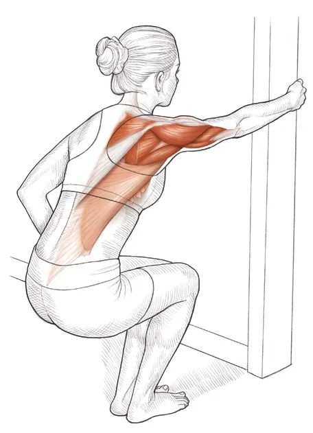 Vežba 9 Istezanje aduktora i ekstenzora ramena
