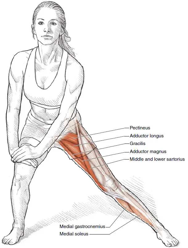 Vežba 7 Stojeće istezanje aduktora kuka savijenih kolena za početnike