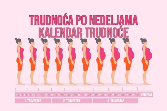 Trudnoća po nedeljama - Kalendar trudnoće